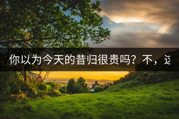 你以為今天的昔歸很貴嗎？不，這只是開始！