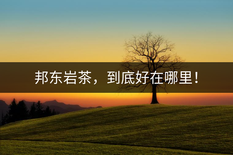 邦東巖茶，到底好在哪里！