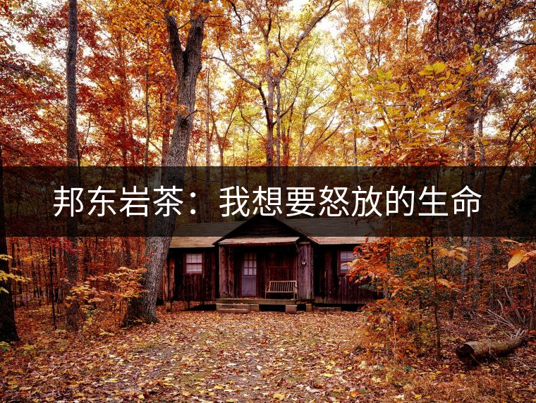 邦東巖茶:我想要怒放的生命 邦東巖茶:我想要怒放的生命