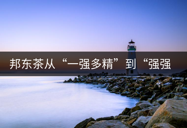 邦東茶從“一強(qiáng)多精”到“強(qiáng)強(qiáng)聯(lián)手”，是山頭茶未來(lái)的發(fā)展格局！