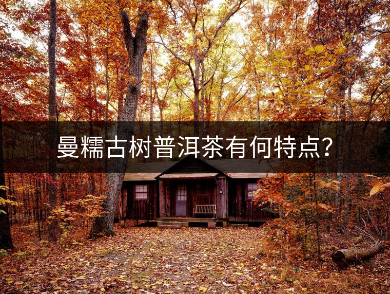 曼糯古樹(shù)普洱茶有何特點(diǎn)？