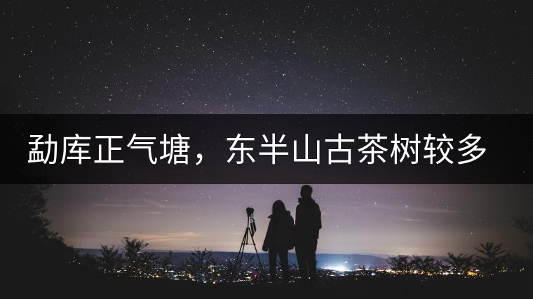 勐庫(kù)正氣塘，東半山古茶樹較多的寨子