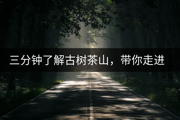 三分鐘了解古樹茶山，帶你走進(jìn)西蒙佛殿山