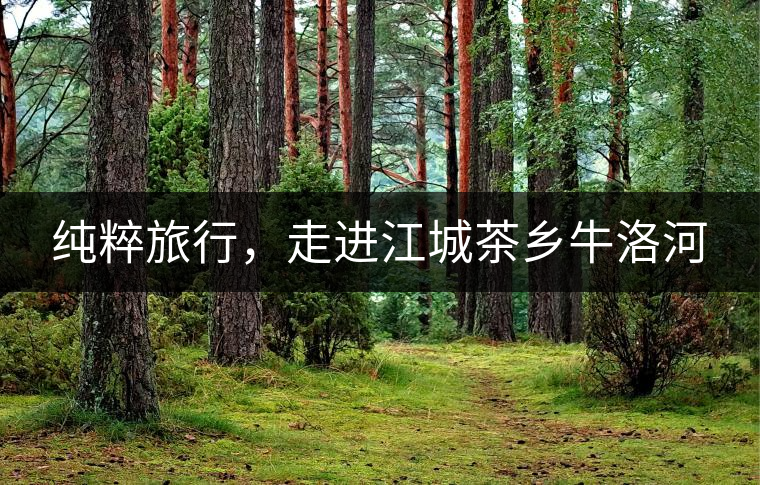 純粹旅行，走進江城茶鄉(xiāng)牛洛河