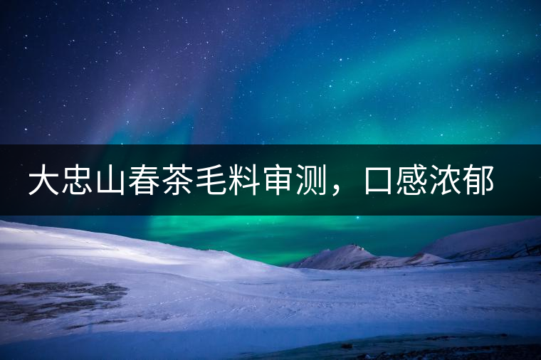 大忠山春茶毛料審測(cè)，口感濃郁花香與甜潤(rùn)口感相得益彰