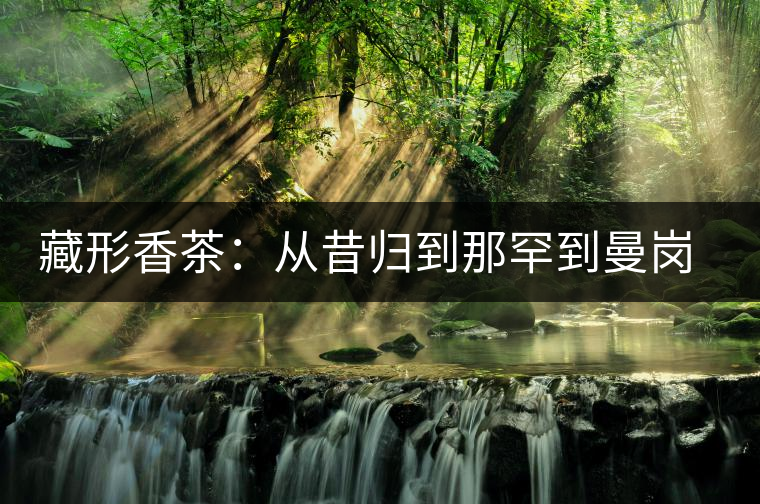 藏形香茶：從昔歸到那罕到曼崗，邦東古茶藏著一條規(guī)律！