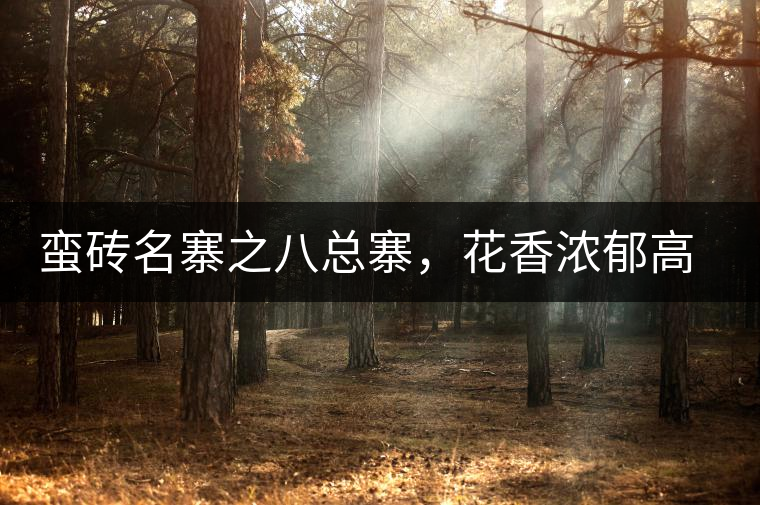 蠻磚名寨之八總寨，花香濃郁高揚(yáng)