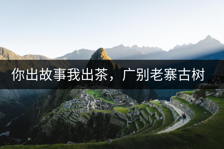 你出故事我出茶，廣別老寨古樹妖茶