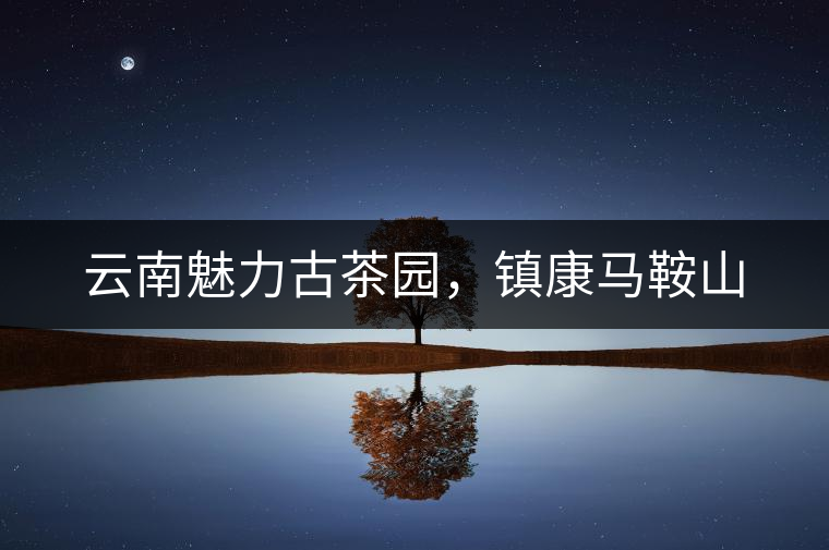 云南魅力古茶園，鎮(zhèn)康馬鞍山