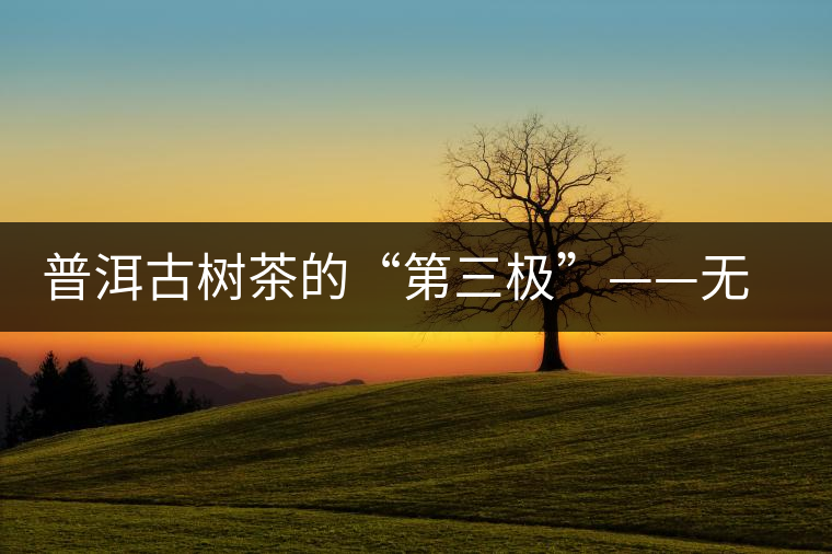 普洱古樹茶的“第三極”——無(wú)量山茶區(qū)