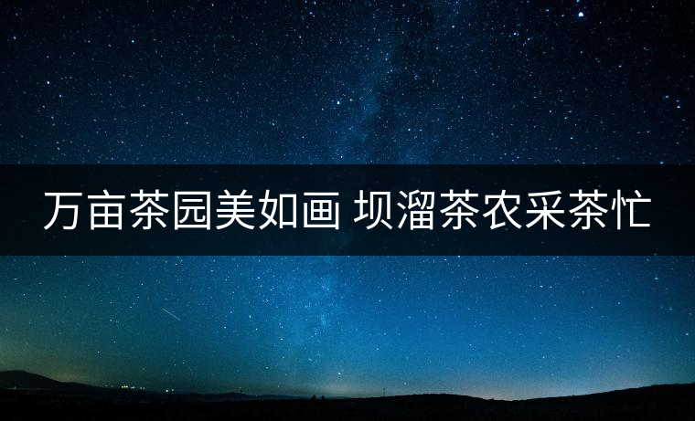 萬(wàn)畝茶園美如畫(huà) 壩溜茶農(nóng)采茶忙 萬(wàn)畝茶園美如畫(huà) 壩溜茶農(nóng)采茶忙