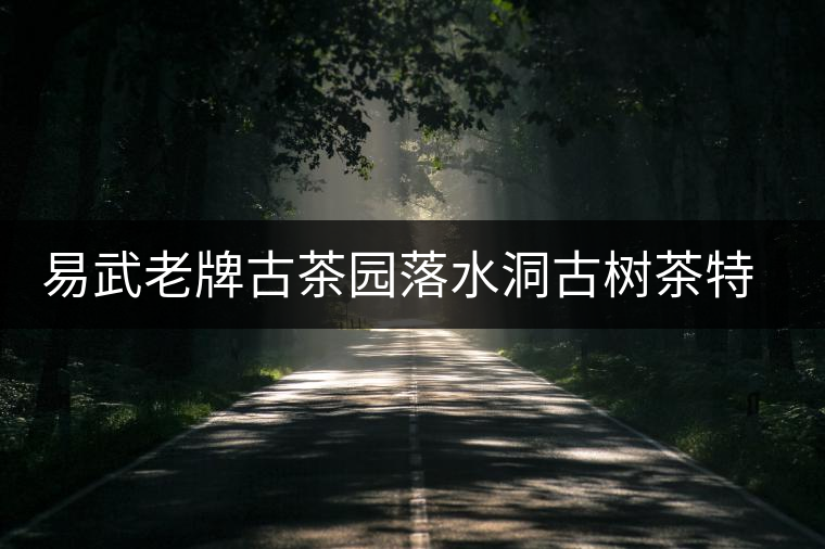 易武老牌古茶園落水洞古樹茶特點介紹