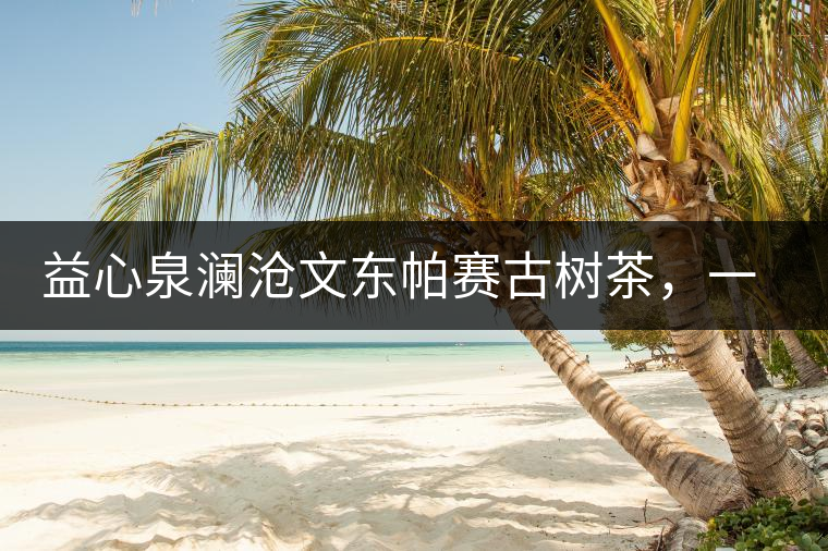 益心泉瀾滄文東帕賽古樹茶，一山茶兩岸香