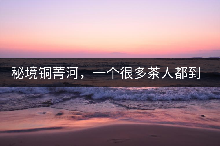 秘境銅菁河，一個很多茶人都到不了的地方