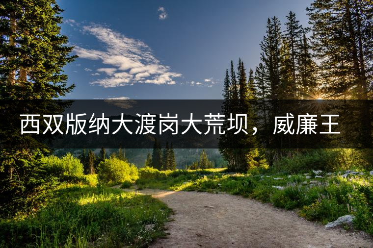 西雙版納大渡崗大荒壩，威廉王子曾經(jīng)到過的古樹茶山