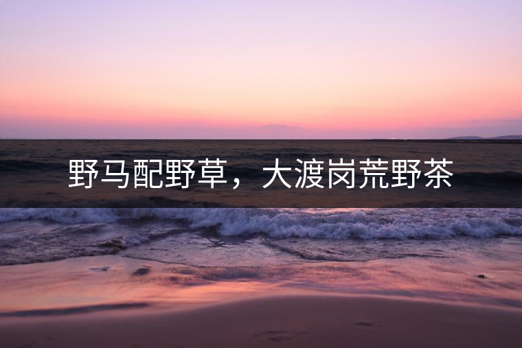 野馬配野草，大渡崗荒野茶