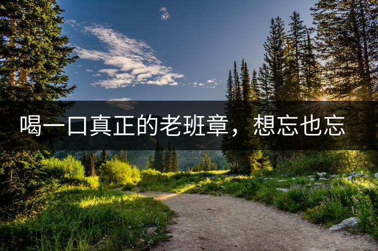 喝一口真正的老班章，想忘也忘不了的味道