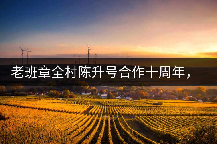 老班章全村陳升號合作十周年，贈送千兩百家茶