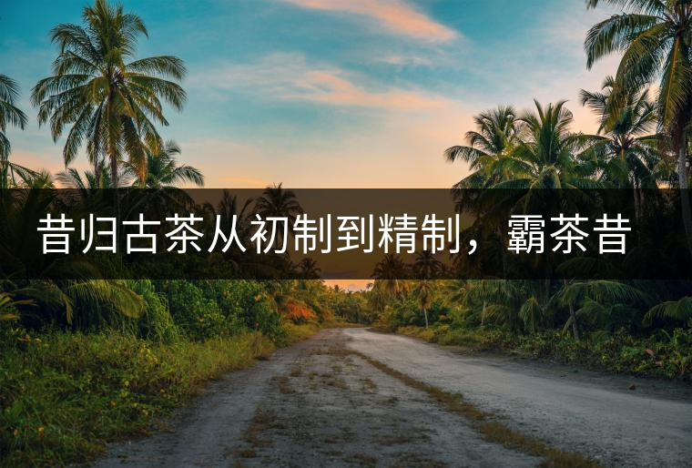 昔歸古茶從初制到精制，霸茶昔歸茶農(nóng)專業(yè)合作社成立