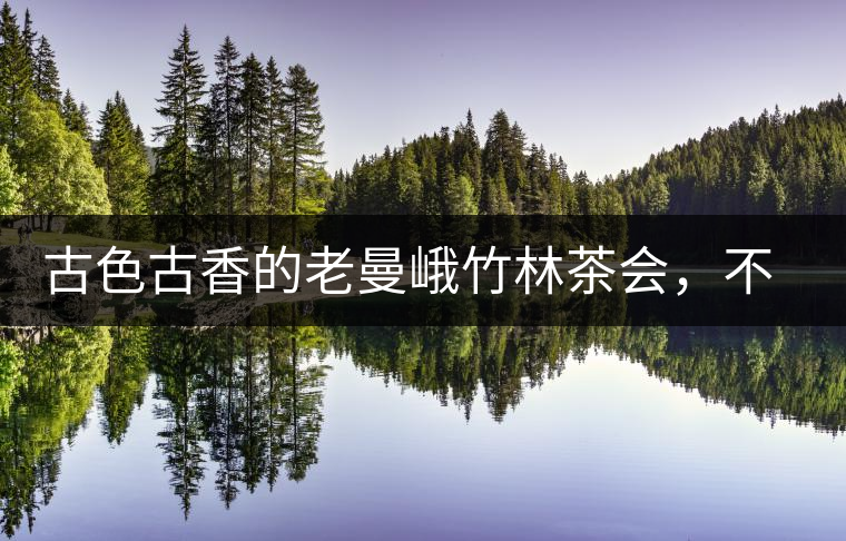 古色古香的老曼峨竹林茶會，不一樣的古樹茶