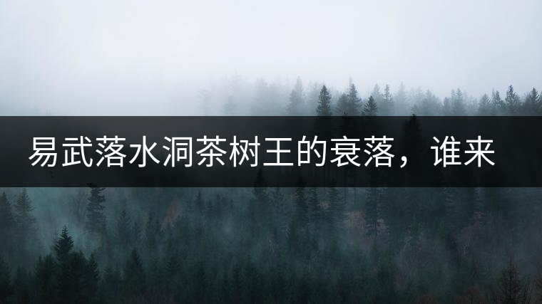 易武落水洞茶樹王的衰落，誰來關注古樹茶？