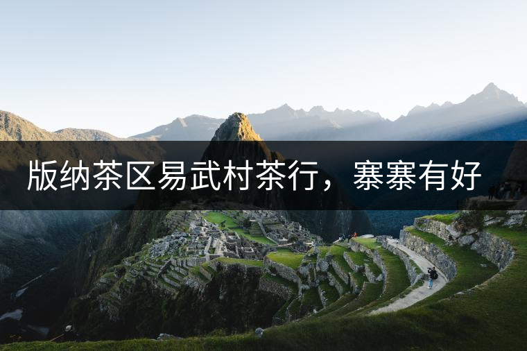 版納茶區(qū)易武村茶行，寨寨有好茶處處古茶香