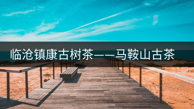 臨滄鎮(zhèn)康古樹(shù)茶——馬鞍山古茶園
