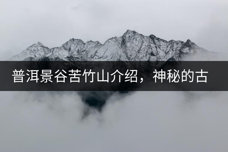 普洱景谷苦竹山介紹，神秘的古樹普洱茶原產(chǎn)地