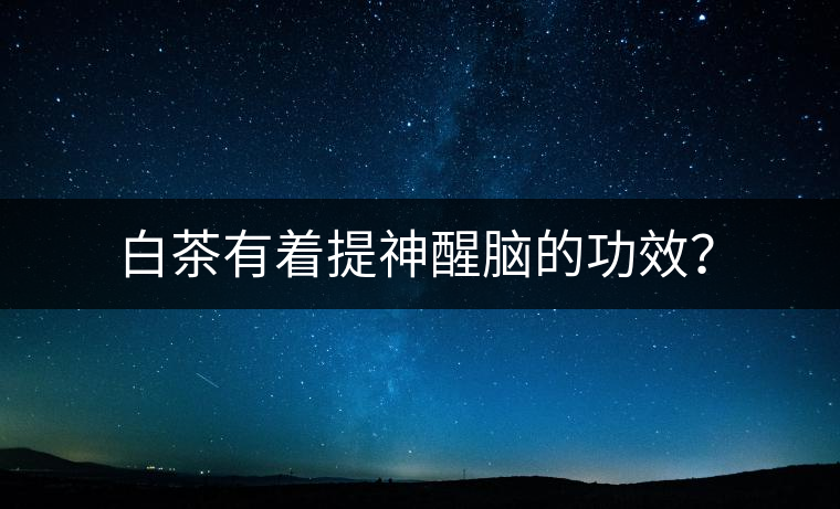 白茶有著提神醒腦的功效？