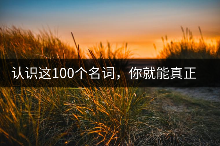 認識這100個名詞，你就能真正了解普洱茶？