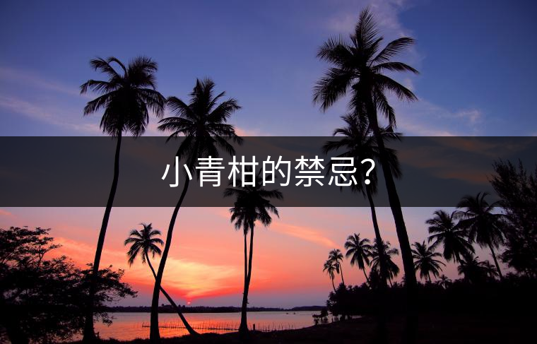 小青柑的禁忌？