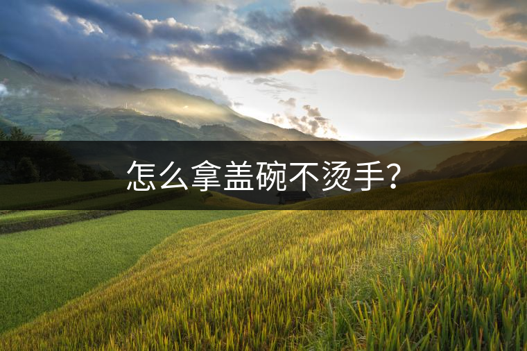 怎么拿蓋碗不燙手？