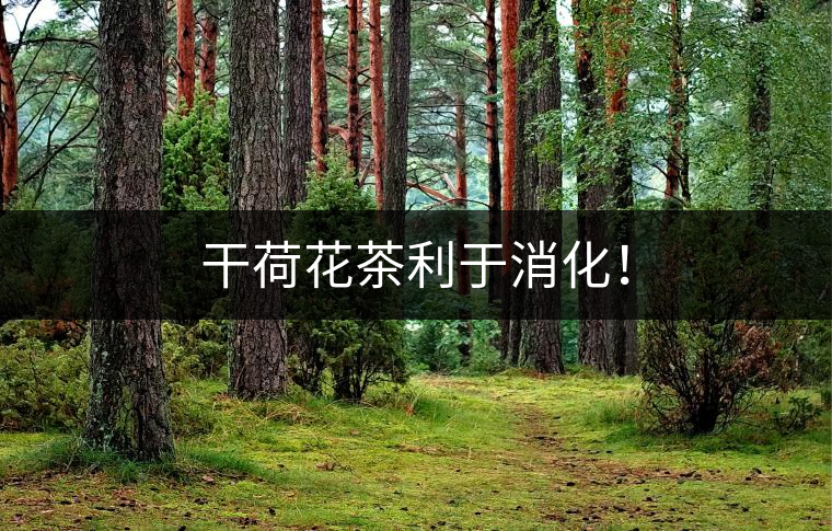 干荷花茶利于消化！