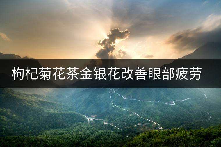 枸杞菊花茶金銀花改善眼部疲勞很突出？