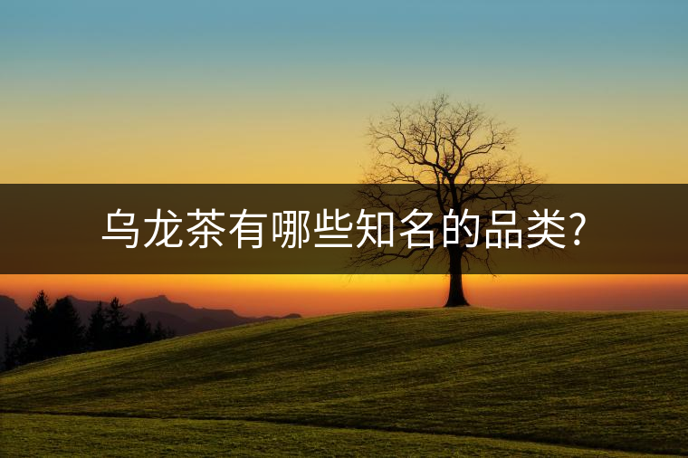 烏龍茶有哪些知名的品類? 烏龍茶有哪些知名的品類?