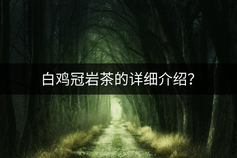 白雞冠巖茶的詳細介紹？