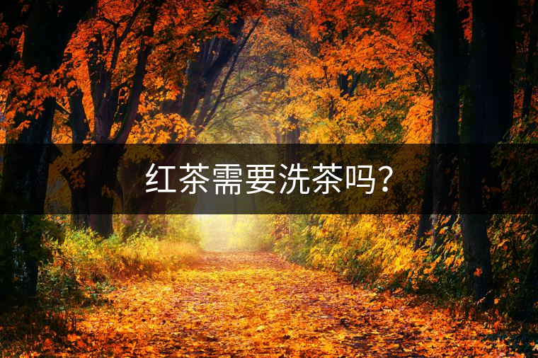 紅茶需要洗茶嗎？