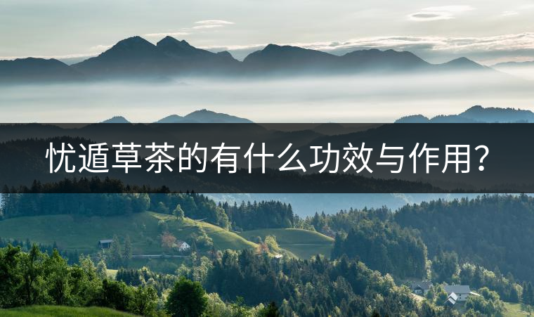 憂遁草茶的有什么功效與作用？