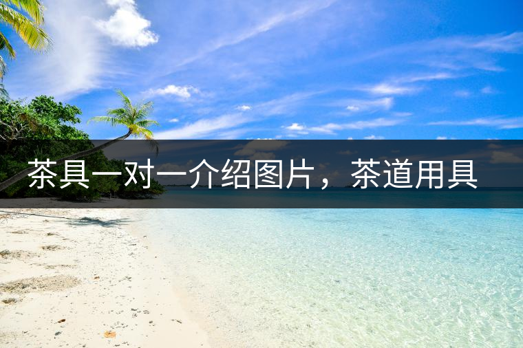 茶具一對一介紹圖片，茶道用具圖解