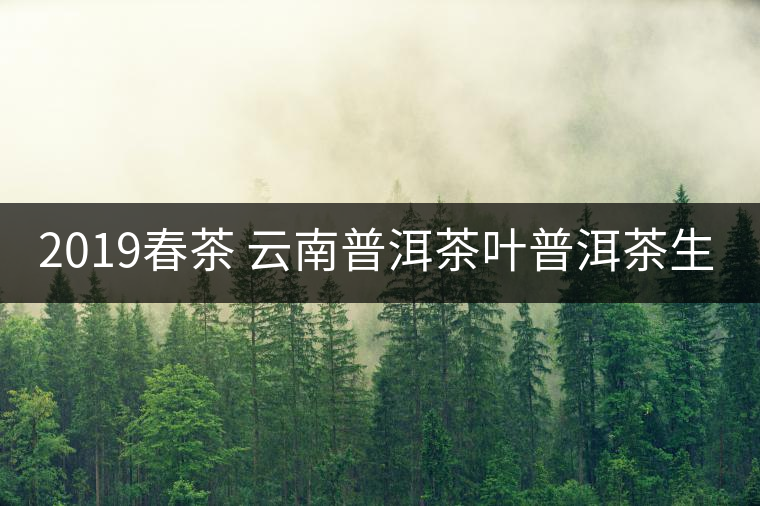 2019春茶 云南普洱茶葉普洱茶生茶 易武正山古樹純料生茶357g貢餅