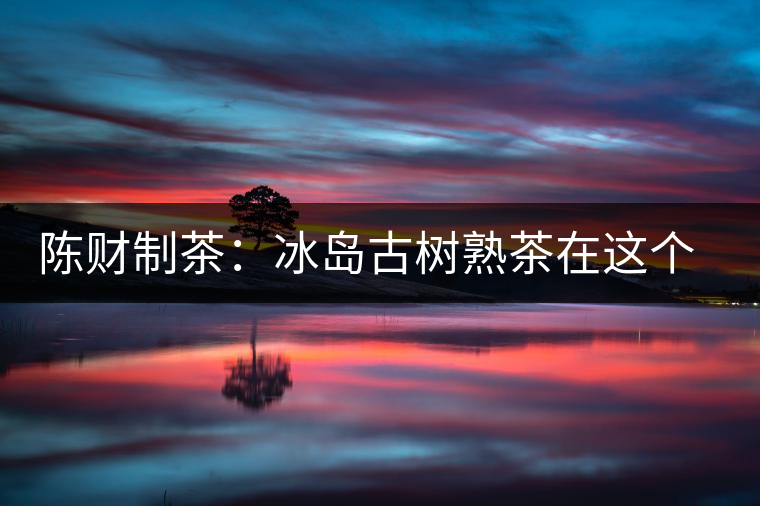 陳財制茶：冰島古樹熟茶在這個世界真的存在嗎？