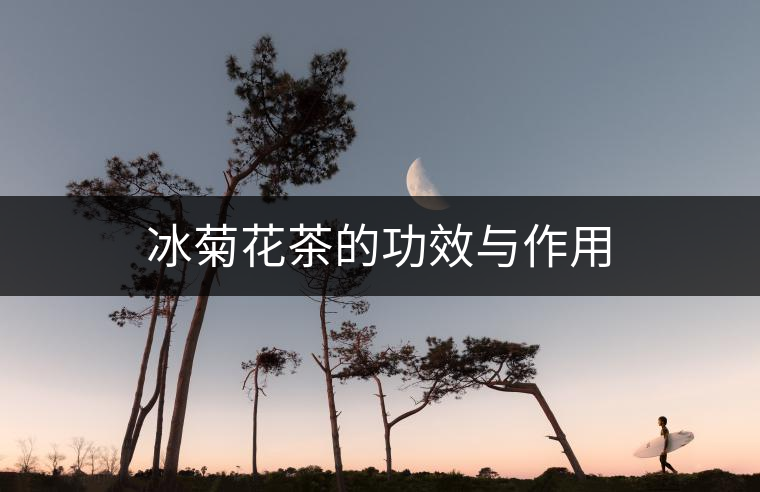 冰菊花茶的功效與作用 冰菊花茶的功效與作用