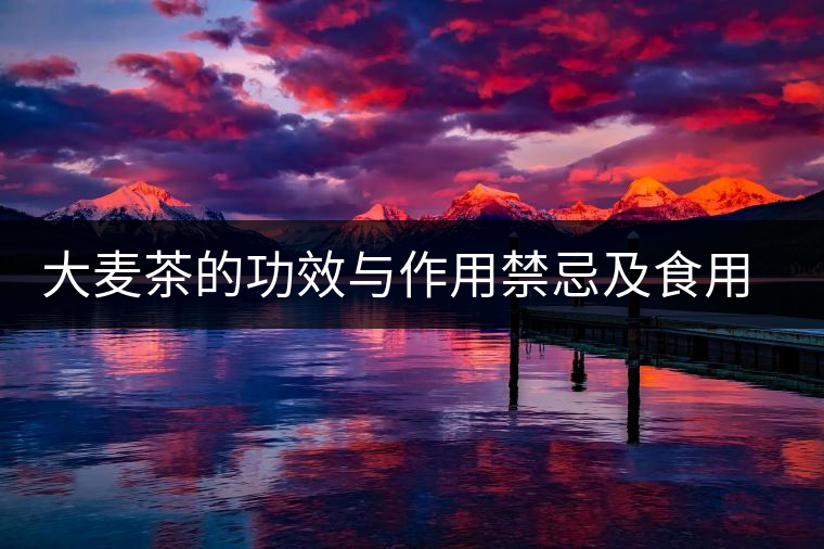 大麥茶的功效與作用禁忌及食用方法