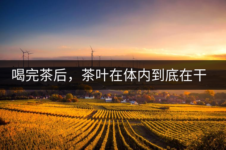 喝完茶后，茶葉在體內(nèi)到底在干嘛，游走的茶水