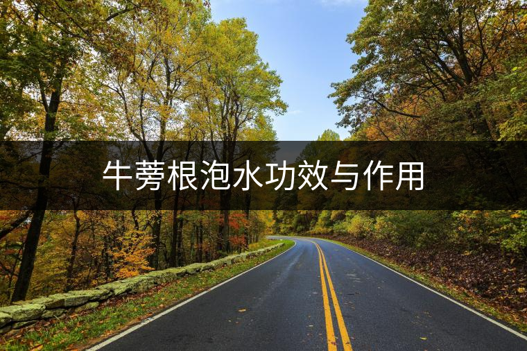 牛蒡根泡水功效與作用 牛蒡根泡水功效與作用