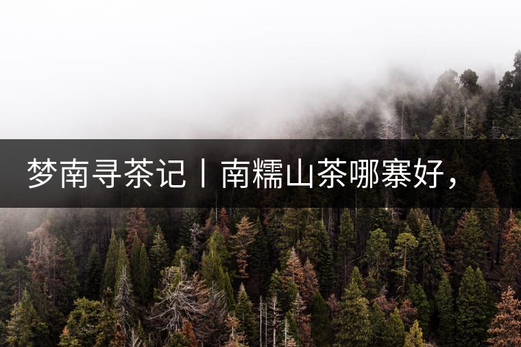 夢(mèng)南尋茶記丨南糯山茶哪寨好，半坡老寨數(shù)第一