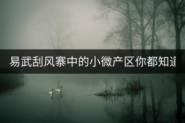 易武刮風(fēng)寨中的小微產(chǎn)區(qū)你都知道嗎？