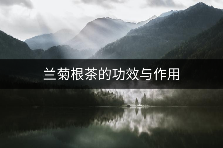 蘭菊根茶的功效與作用