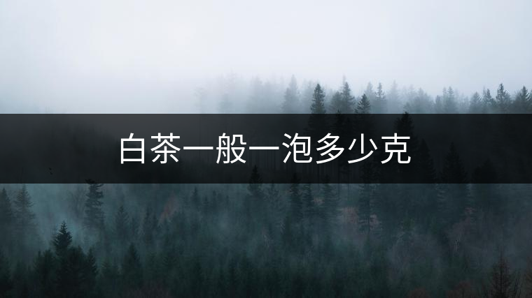 白茶一般一泡多少克