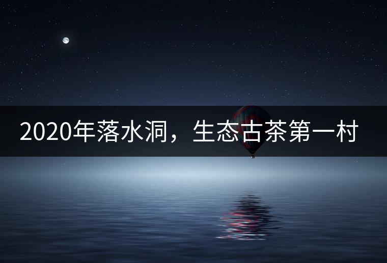 2020年落水洞，生態(tài)古茶第一村-易武中聘號